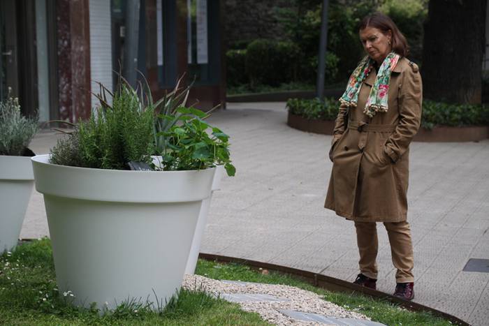 Eta liliek Tolosa ere amets 11 1495290248679