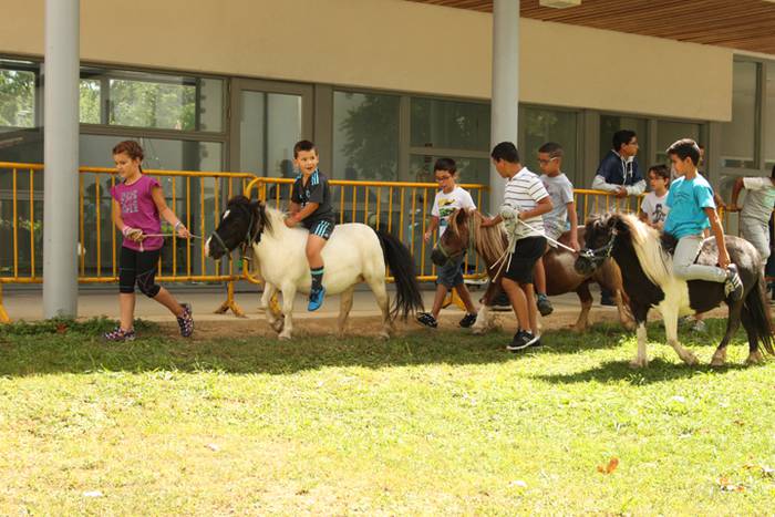 Ikaztegietako Jaiak 2017, um 35 1502457391126