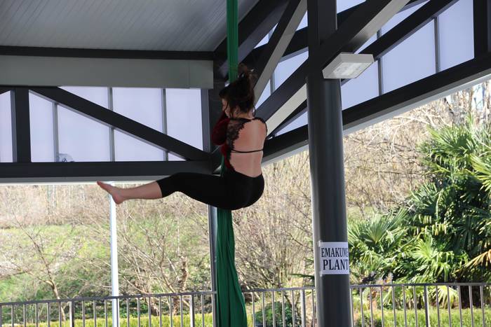 Joxe Arregiren omenadia bere 4 1550412703478