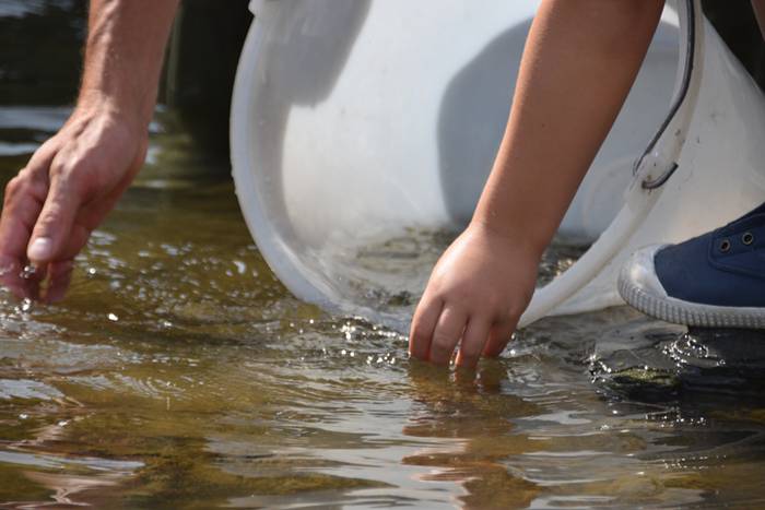 Izokinkumeak, Orian 19 1500724794452