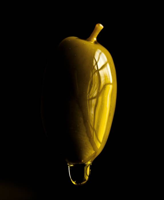 Zikloak ongi funtziona dezan