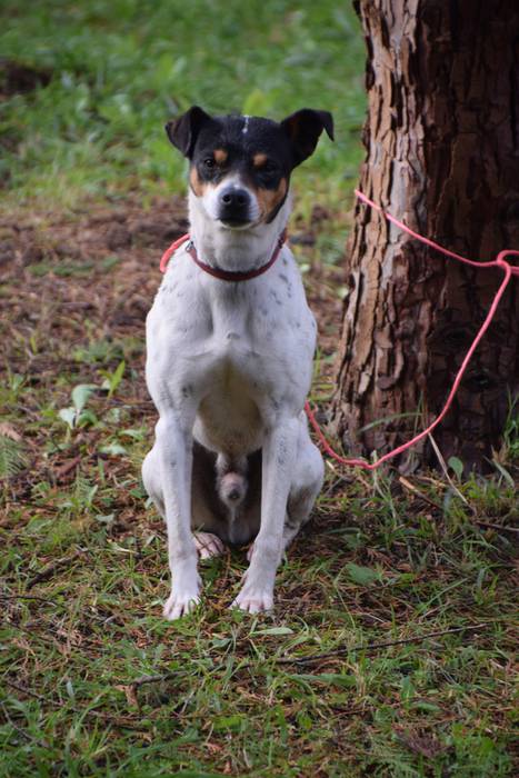 San Anton eguna, 2018, Beras 9 1516185116985