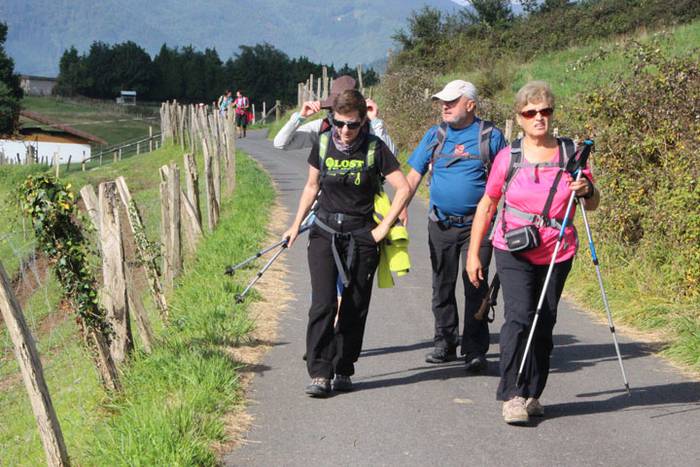 2016 bidea 35 1471775998805