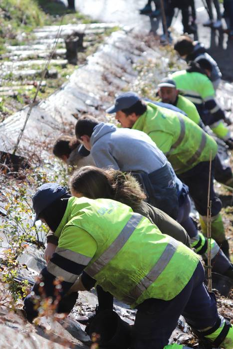 Tolosako ikasleek zuhaitzak  15 1520435510183