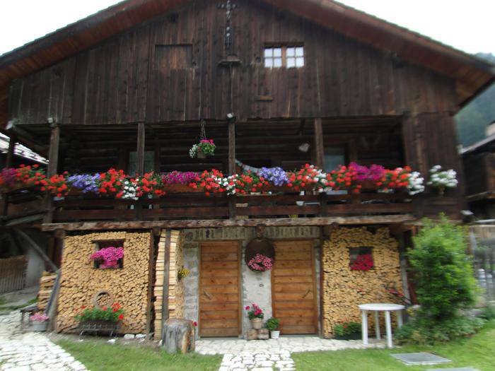 Argazki lehiaketa 1 1470126605844