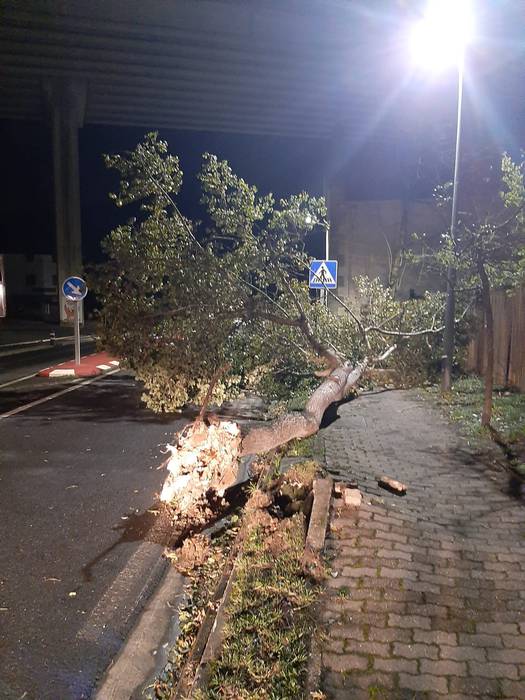 Errepidek 7 1603266691256