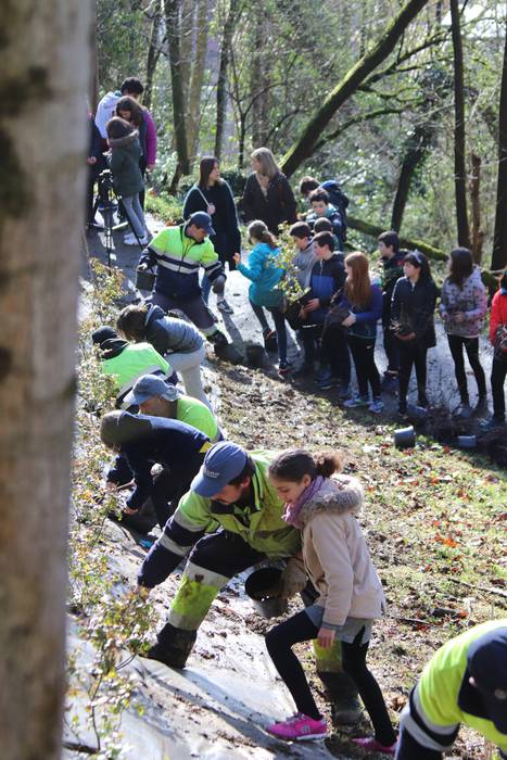 Tolosako ikasleek zuhaitzak  14 1520435502218