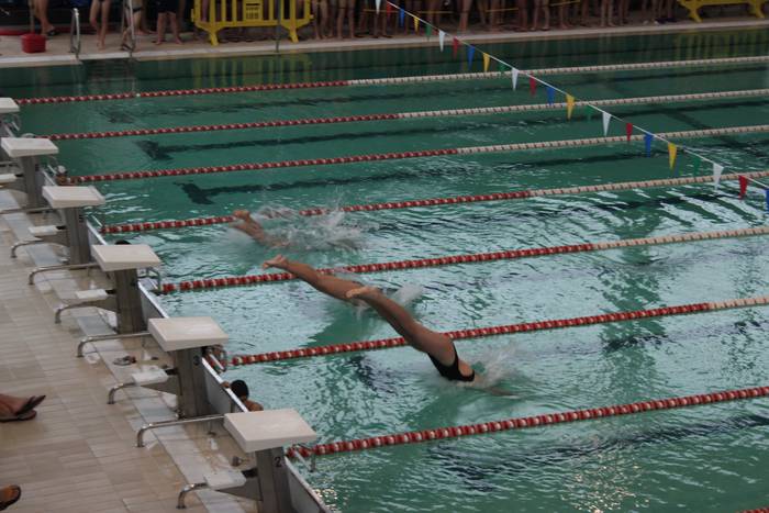 XIX. Paco Sanchez saria 5 1545490851844