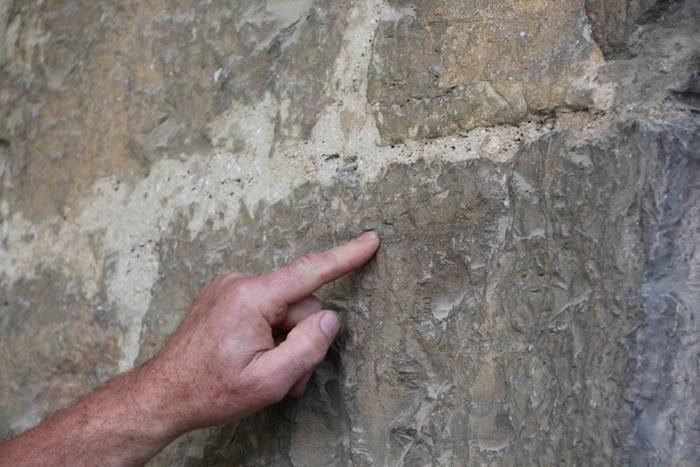 Altzoko Handiaren ibilbidea  63 1499003005910