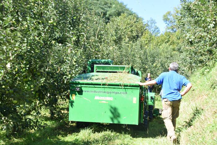 Makina, sagarrak biltzeko 15 1506683809464