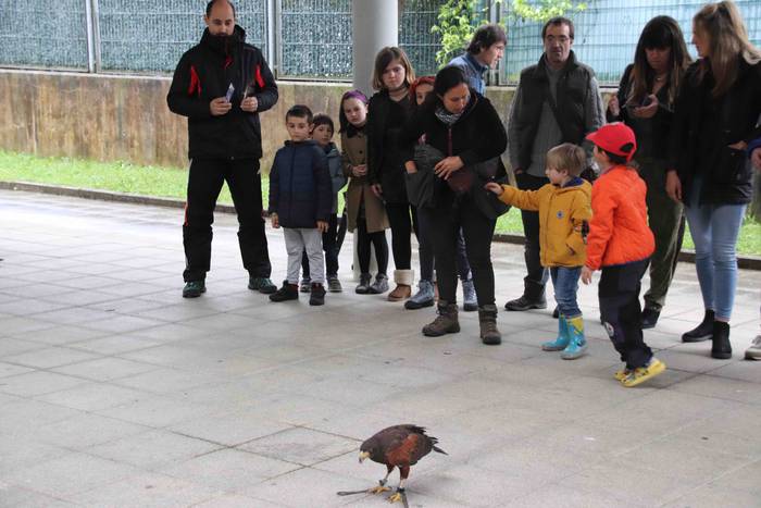 VIII. Udaberriko Azokaz goza 28 1558278838568