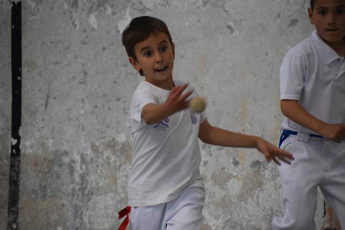 Dotore aritu dira benjaminak 31 1527271816124