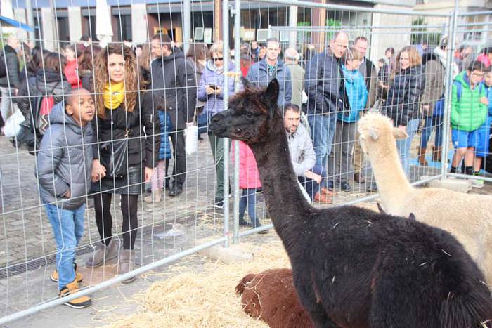 Tolosako Gabonetako azoka be 99 1514054518329