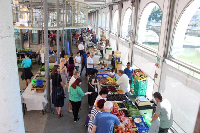 tolosako zokara bisita gidat 22 1657363890401