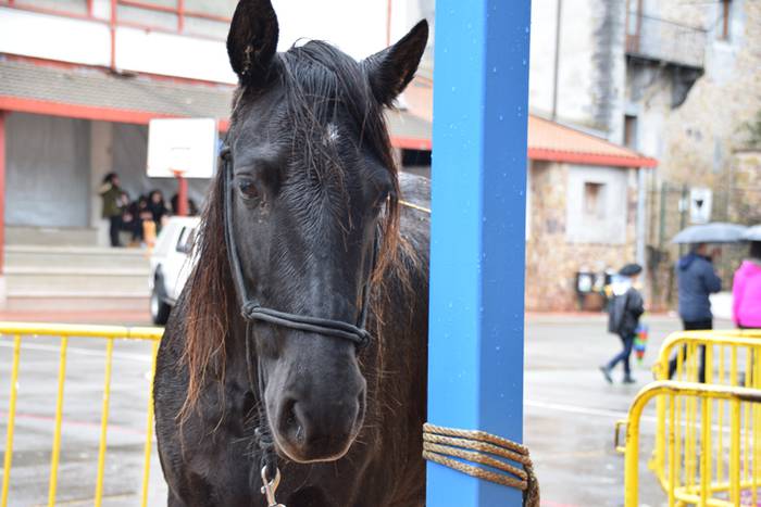 Azoka euriaren gainetik 33 1478447541901