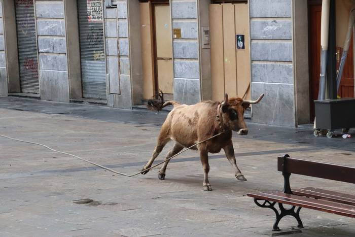 Zezenaren aurrean korrika 25 1551703696403