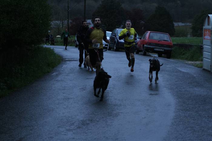 Zizurkil, txakur krosa 48 1490474079783