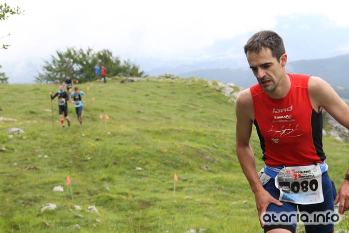 T3T tontor 2016 hernio 53 1466351090056