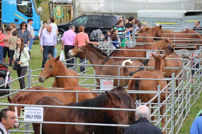 Hutsik egiten ez duen azoka berezia 41 1474813409337