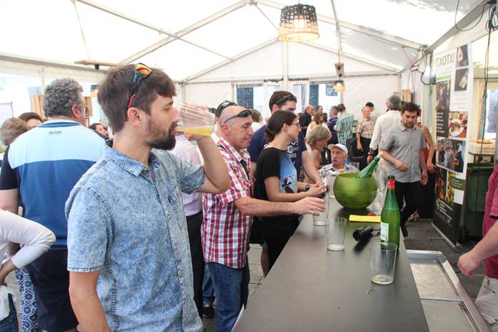 Sagardo Fest giroa eta kata 8 1497103747585