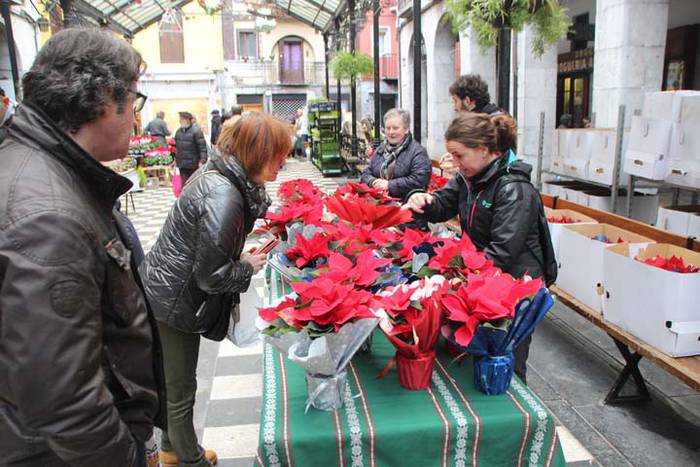 Tolosako Gabonetako azoka be 6 1514054027896