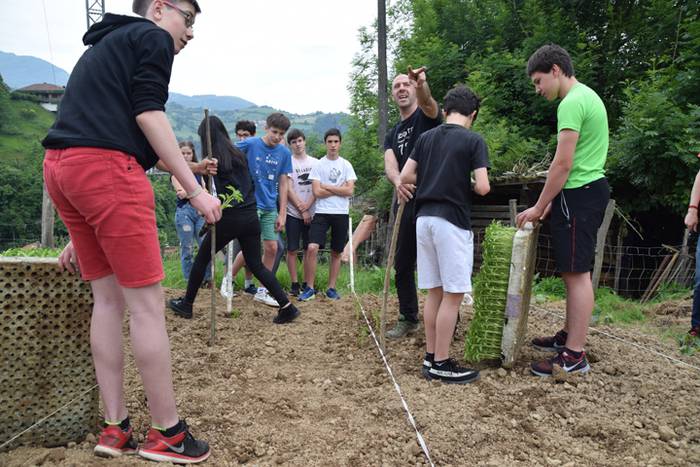 Ibarrako piperrak landatzen, 34 1527075803096