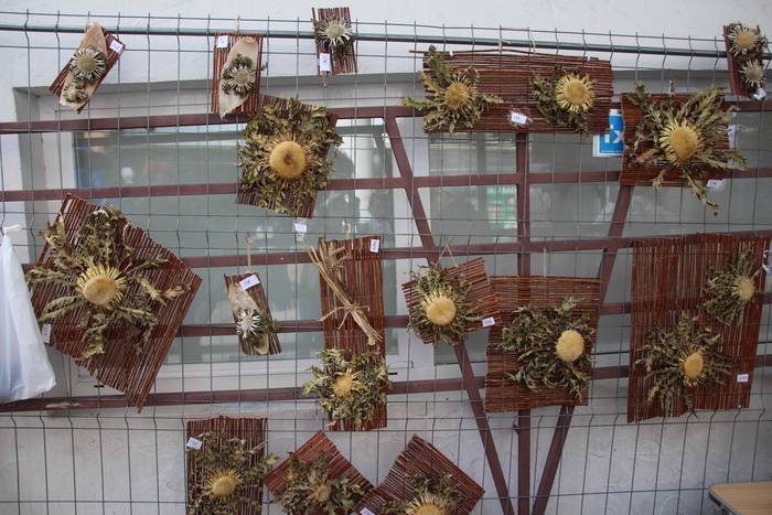 Auzolanaren fruitu, azoka 68 1541961565546