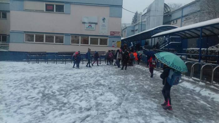 Argazki galeria: Tolosaldea, 63 1519810060998