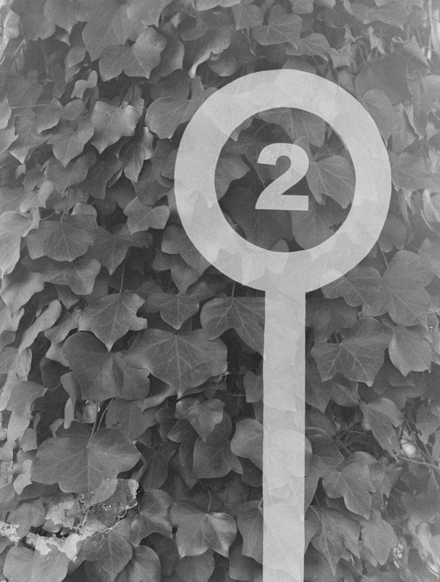 Bi