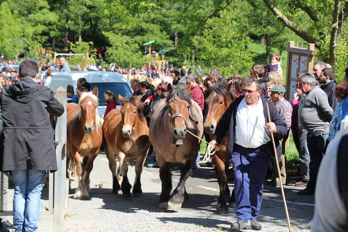 Larre irekiera Larraitzen 20 66 1493640062615