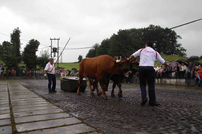 Zizurkil festak 2018 xiba et 34 1534452735737