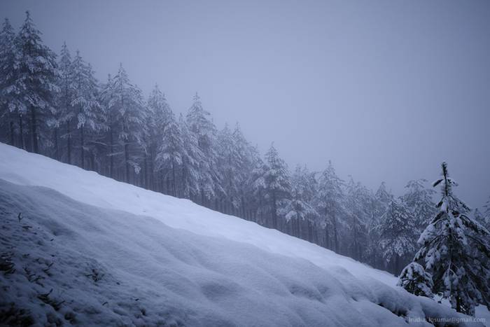 Negu Trail lasterketaren bes 4 1517853543612