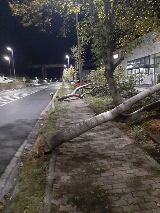 Errepidek 6 1603266690847