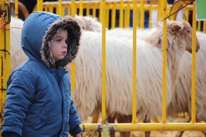 Berastegiko gaztarik onena A 39 1608397928193