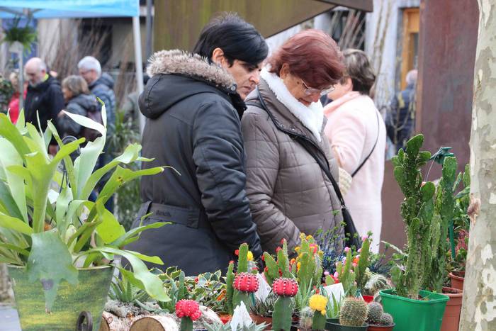 Tolosako Lore eta Landare Az 1 1549717193575