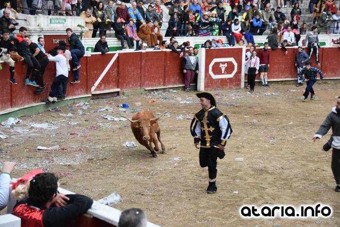 Pattar zezena 2016 40 1455012397638