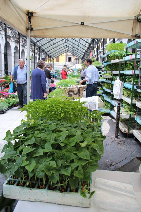 Lore eta Landare Azoka Tolosan 2016 8 1465051784713