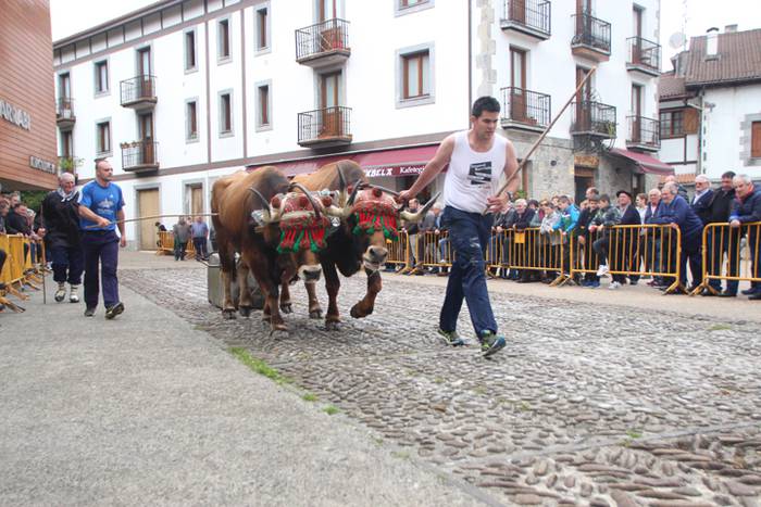 San Isidro Eguna Amasa Astea 23 1526395808328