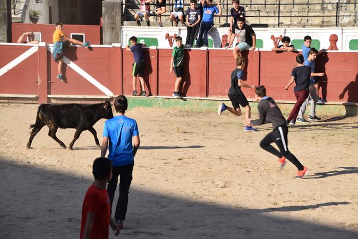 Berazubiko festak 2017, zeze 43 1507822989093