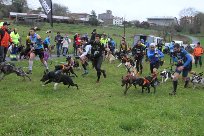 Zizurkil, txakur krosa 23 1490473940322