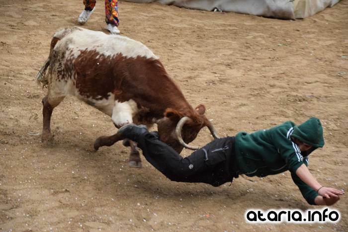 Pattar zezena 2016 29 1455012392398