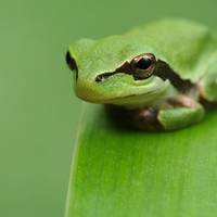 Biodibertsitategunea