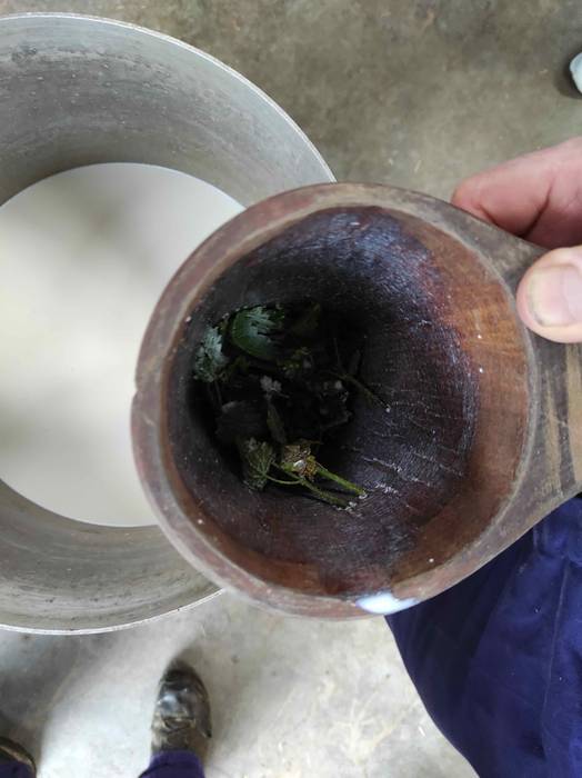 Berastegiko artzaintza eta g 5 1624262854967