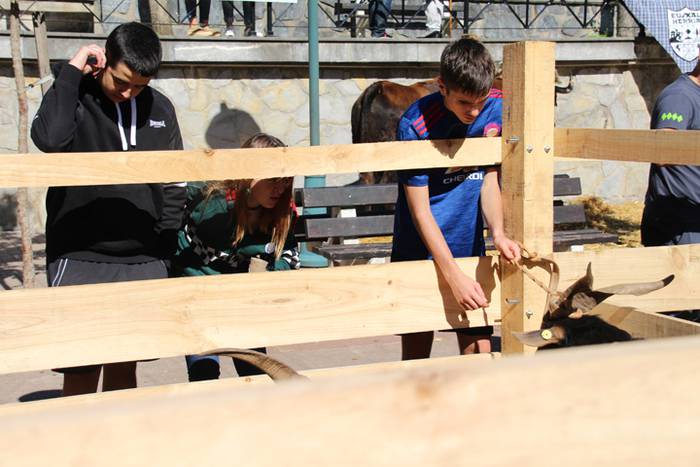 Lurraren zaindari direnen er 84 1507466564925