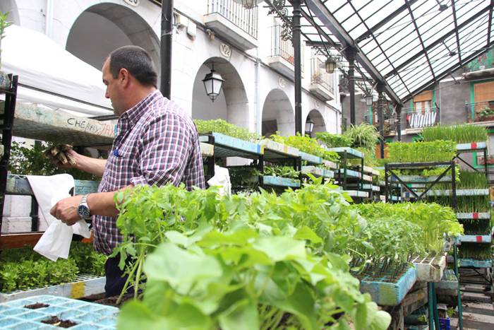 Eta liliek Tolosa ere amets 28 1495290357333