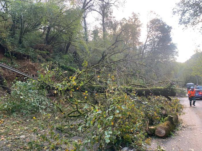 Errepidek 5 1603266690405