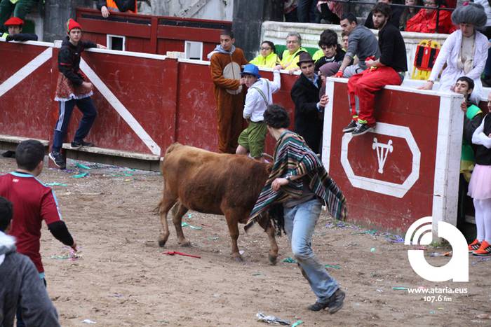 Zezenak adarrak okerrak ditu 42 1488277395787