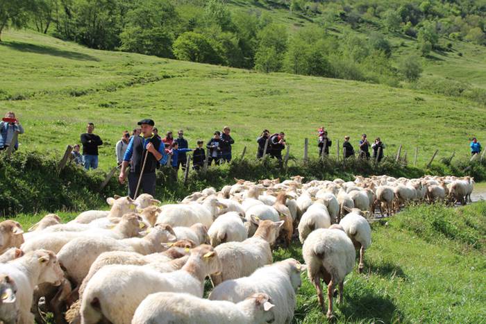 Larre irekiera Larraitzen 20 96 1493640249937