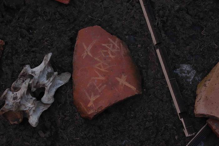 Zaldunita 2020 Konpartsak 1 62 1582476352308