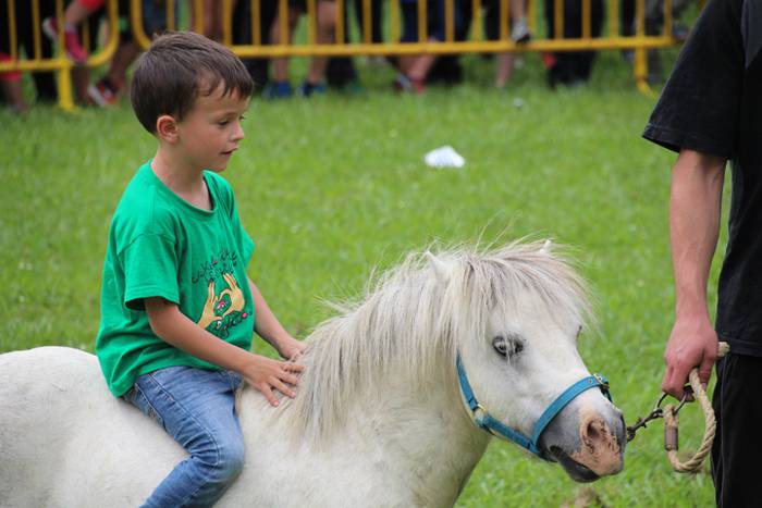 Eskola txiki eguna Ikaztegieta 60 1465750688318